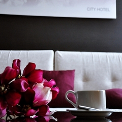 Отель City Hotel Sova, Нижний Новгород, Нижегородская область