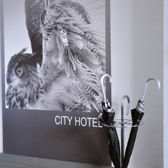 Отель City Hotel Sova, Нижний Новгород, Нижегородская область