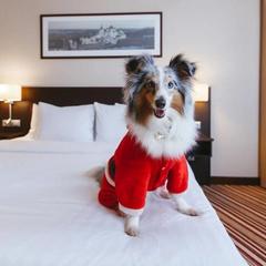 Отель Кортъярд Марриотт Нижний Новгород Сити Центр, Нижний Новгород, Нижегородская область