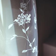 Хостел Нижний Хостел, Нижний Новгород, Нижегородская область