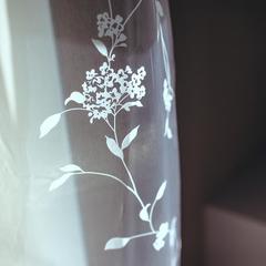 Хостел Нижний Хостел, Нижний Новгород, Нижегородская область