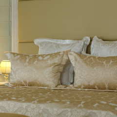 Отель Премьер Отель, Нижний Новгород, Нижегородская область