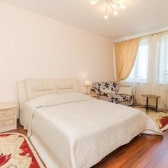 Апартаменты Сутки-дом Белинского 64, Нижний Новгород, Нижегородская область