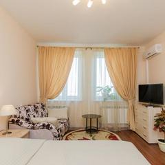 Апартаменты Сутки-дом Белинского 64, Нижний Новгород, Нижегородская область