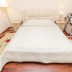 Апартаменты Сутки-дом Белинского 64, Нижний Новгород, Нижегородская область