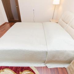 Апартаменты Сутки-дом Белинского 64, Нижний Новгород, Нижегородская область