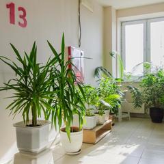 Апартаменты Сутки-дом Белинского 64, Нижний Новгород, Нижегородская область