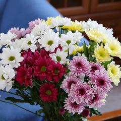 Гостиница Металлург, Нижний Тагил, Свердловская область