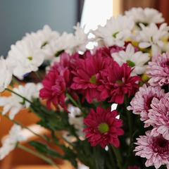 Гостиница Металлург, Нижний Тагил, Свердловская область