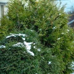 Гостевой дом На Восточной, Нижний Тагил, Свердловская область