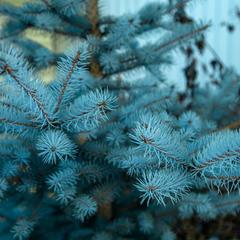 Гостевой дом На Восточной, Нижний Тагил, Свердловская область