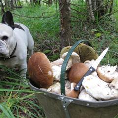 Загородный отель Селигер, Тверская область