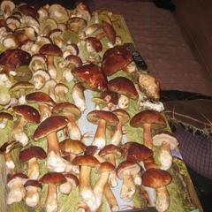 Загородный отель Селигер, Тверская область