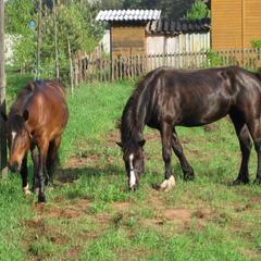 Загородный отель Селигер, Тверская область