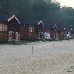 Рыболовная база Колючий окунь, Никольское 1-е, Воронежская область