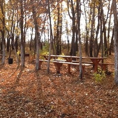 Рыболовная база Колючий окунь, Никольское 1-е, Воронежская область