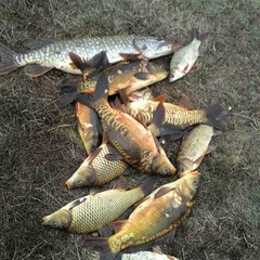 Рыболовная база Колючий окунь, Никольское 1-е, Воронежская область