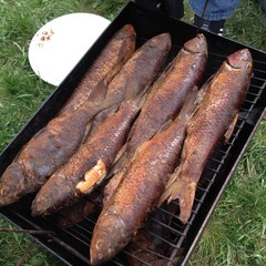 Рыболовная база Колючий окунь, Никольское 1-е, Воронежская область