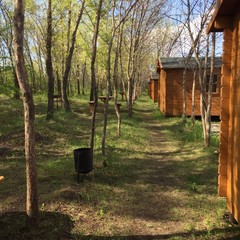 Рыболовная база Колючий окунь, Никольское 1-е, Воронежская область