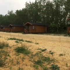 Рыболовная база Колючий окунь, Никольское 1-е, Воронежская область