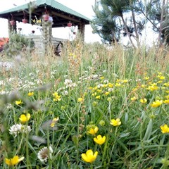 База отдыха Горизонт, Новая Ладога, Ленинградская область
