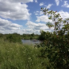 База отдыха Горизонт, Новая Ладога, Ленинградская область