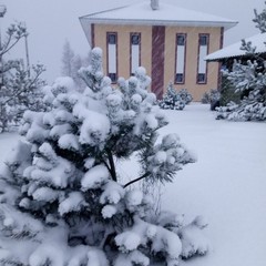 База отдыха Горизонт, Новая Ладога, Ленинградская область