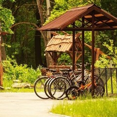 База отдыха Лукоморье, Новая Усмань, Воронежская область