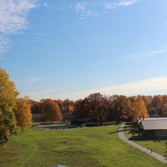 База отдыха Лукоморье, Новая Усмань, Воронежская область