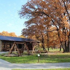 База отдыха Лукоморье, Новая Усмань, Воронежская область