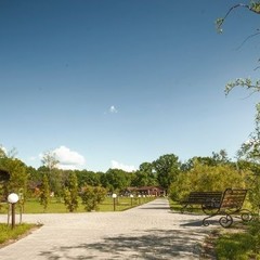 База отдыха Лукоморье, Новая Усмань, Воронежская область