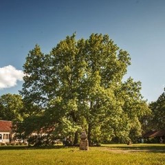 База отдыха Лукоморье, Новая Усмань, Воронежская область