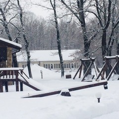 База отдыха Лукоморье, Новая Усмань, Воронежская область