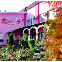 Гостиничный комплекс Усмань, Новая Усмань, Воронежская область