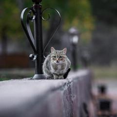 База отдыха Кизиловая, Новоабзаково, Республика Башкортостан