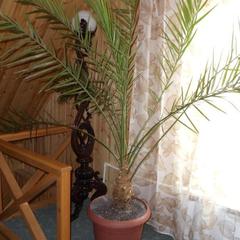 Отель Дом на Луговой, Новоабзаково, Республика Башкортостан