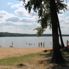 Пансионат Парус, Нововолково, Московская область
