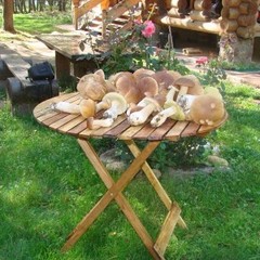 База отдыха Боровик, Новое Акатово, Тверская область