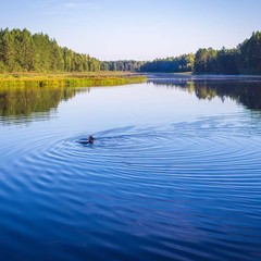 База отдыха Боровик, Новое Акатово, Тверская область