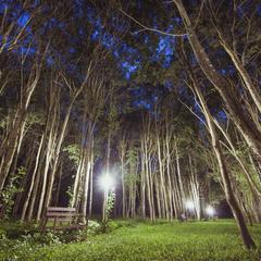 Отель Флагман, Нововолково, Московская область