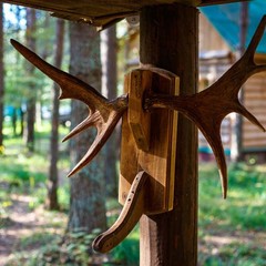 База отдыха Боровик, Новое Акатово, Тверская область