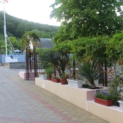 Гостиница Альбатрос, Новомихайловский, Краснодарский край