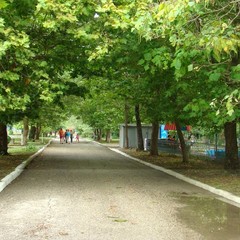 База отдыха Нэвз, Новомихайловский, Краснодарский край