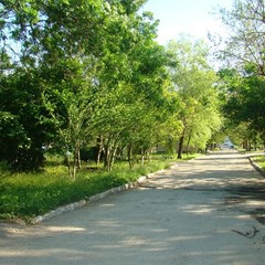 База отдыха Нэвз, Новомихайловский, Краснодарский край