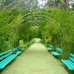 База отдыха Нэвз, Новомихайловский, Краснодарский край