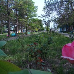 База отдыха Нэвз, Новомихайловский, Краснодарский край