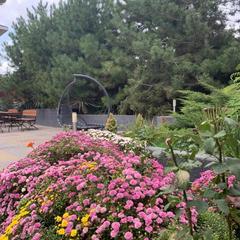 Отель Солнечная Гавань, Новороссийск, Краснодарский край