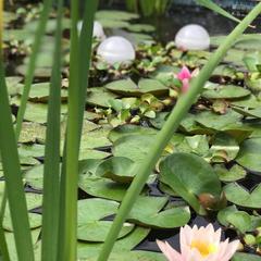Отель Солнечная Гавань, Новороссийск, Краснодарский край