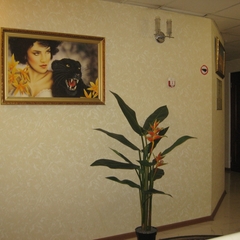 Отель Шоколад, Новороссийск, Краснодарский край