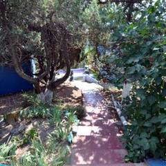 База отдыха Лаванда, Кабардинка, Краснодарский край